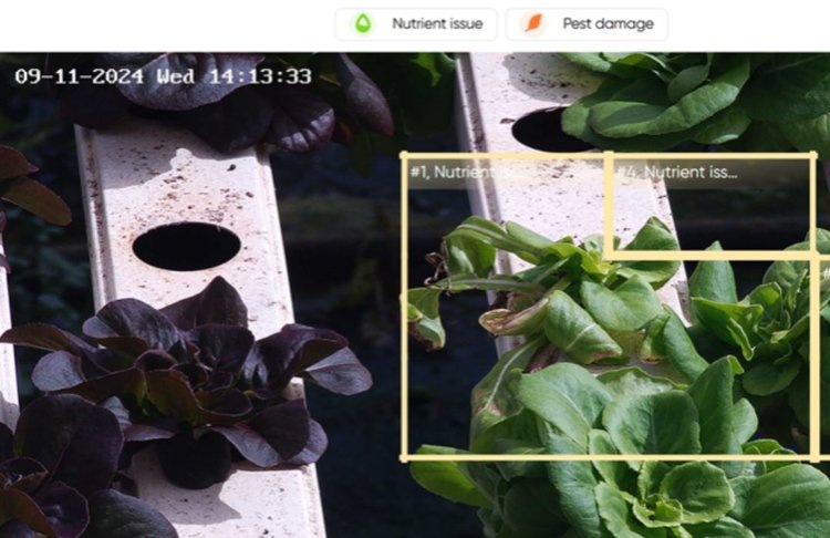    Гидропонную теплицу теперь можно контролировать со смартфона и настольного компьютера