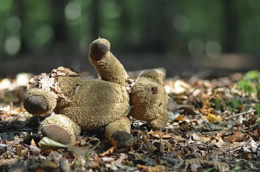    Ingeborg Knol/imageBROKER.com/Globallookpress