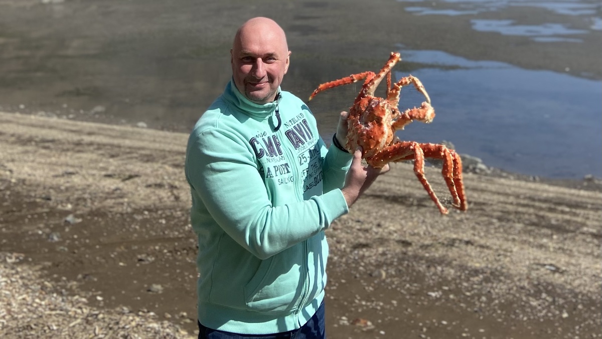 В Южно-Сахалинске крабы, увидев туристов, сами выползают к ним на берег