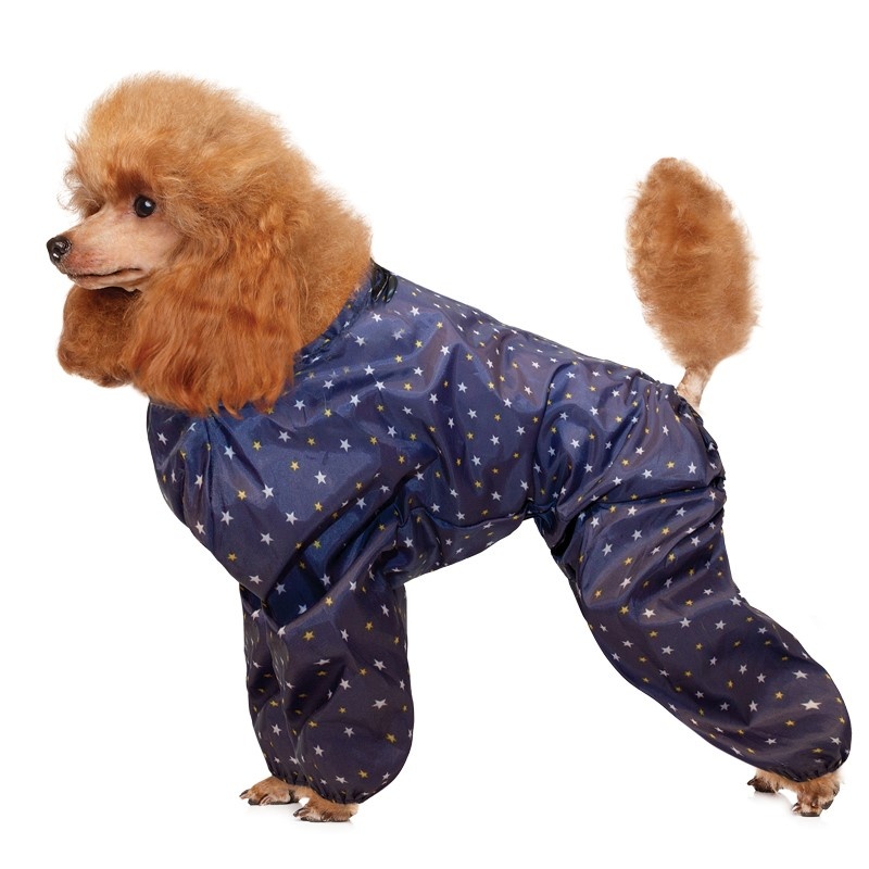 На фото – комбинезон-дождевик «Пудель» от Gamma 