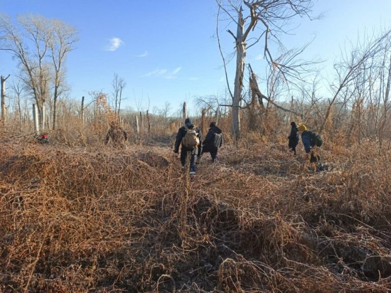    Пока без результата. В Урале под Оренбургом продолжаются поиски утонувшего мальчика Андрей Севостьянов