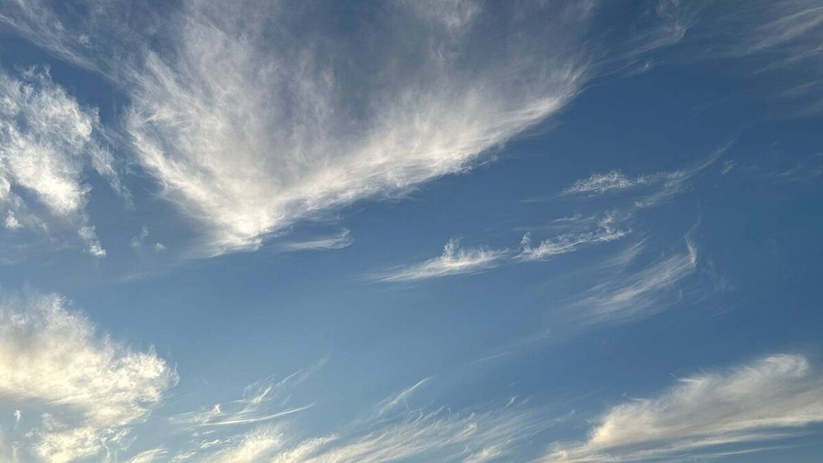    Фото: телеканал «Краснодар»