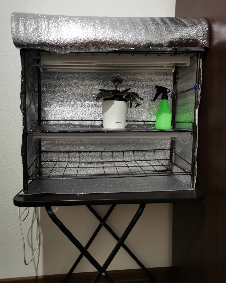 Жизнь квартирного огорода в картинках.