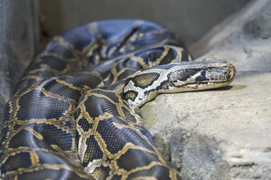    Фото: www.imago-images.de/Globallookpress