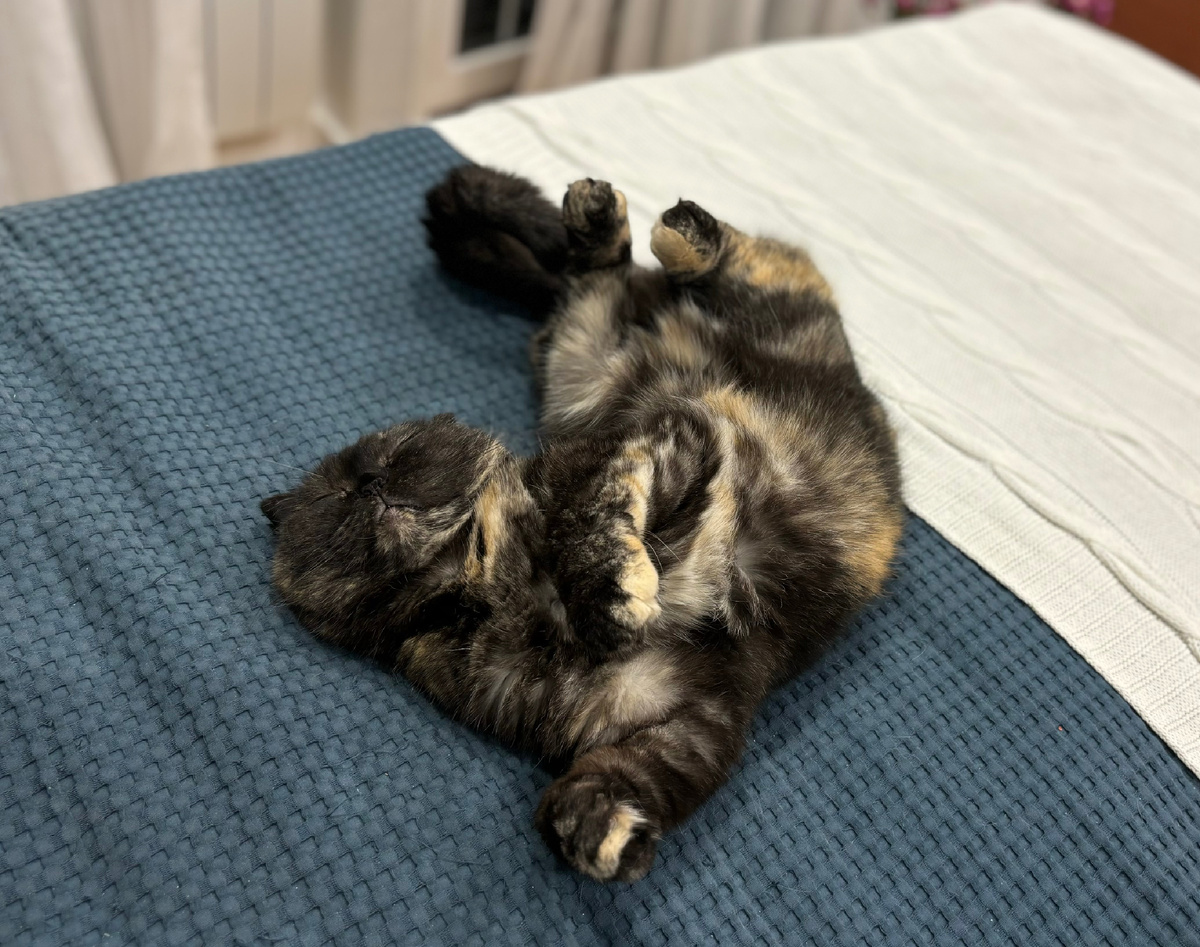 Вот кому лучше всех