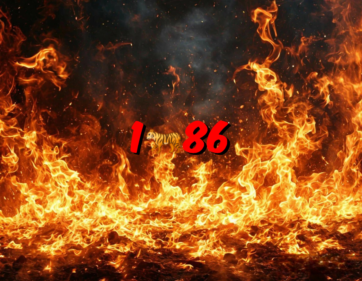 1986 год в восточном календаре и китайском гороскопе: Огненный Тигр 