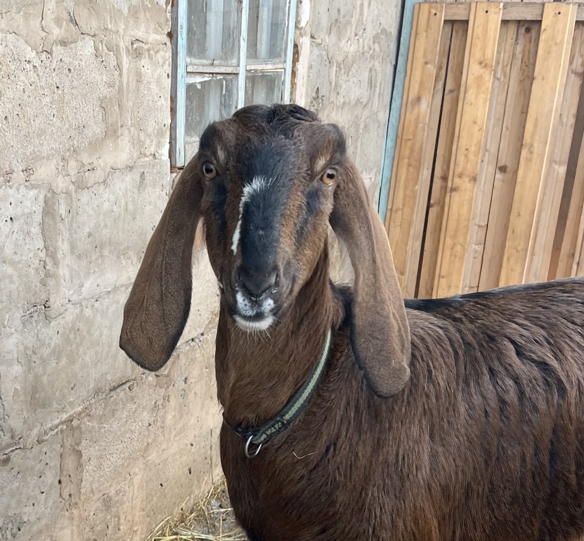 Молодое поколение, ей ещё не знакома радость материнства