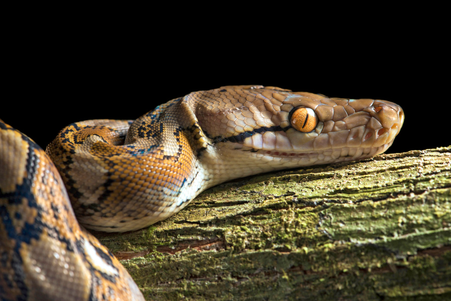    G. Fischer via www.imago-images/Globallookpress