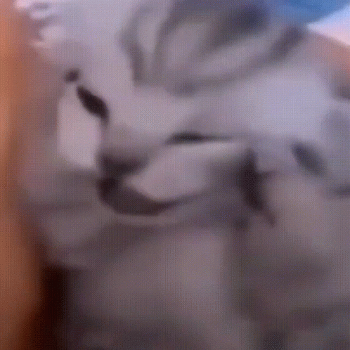    ГНОМЫ, ДВАРФЫ, ДВЕРГИ, КАРЛИКИ, ДОМОВЫЕ, ЭАЭАЭАЭАЭ, МОЯ ГОЛОВААААА!!!