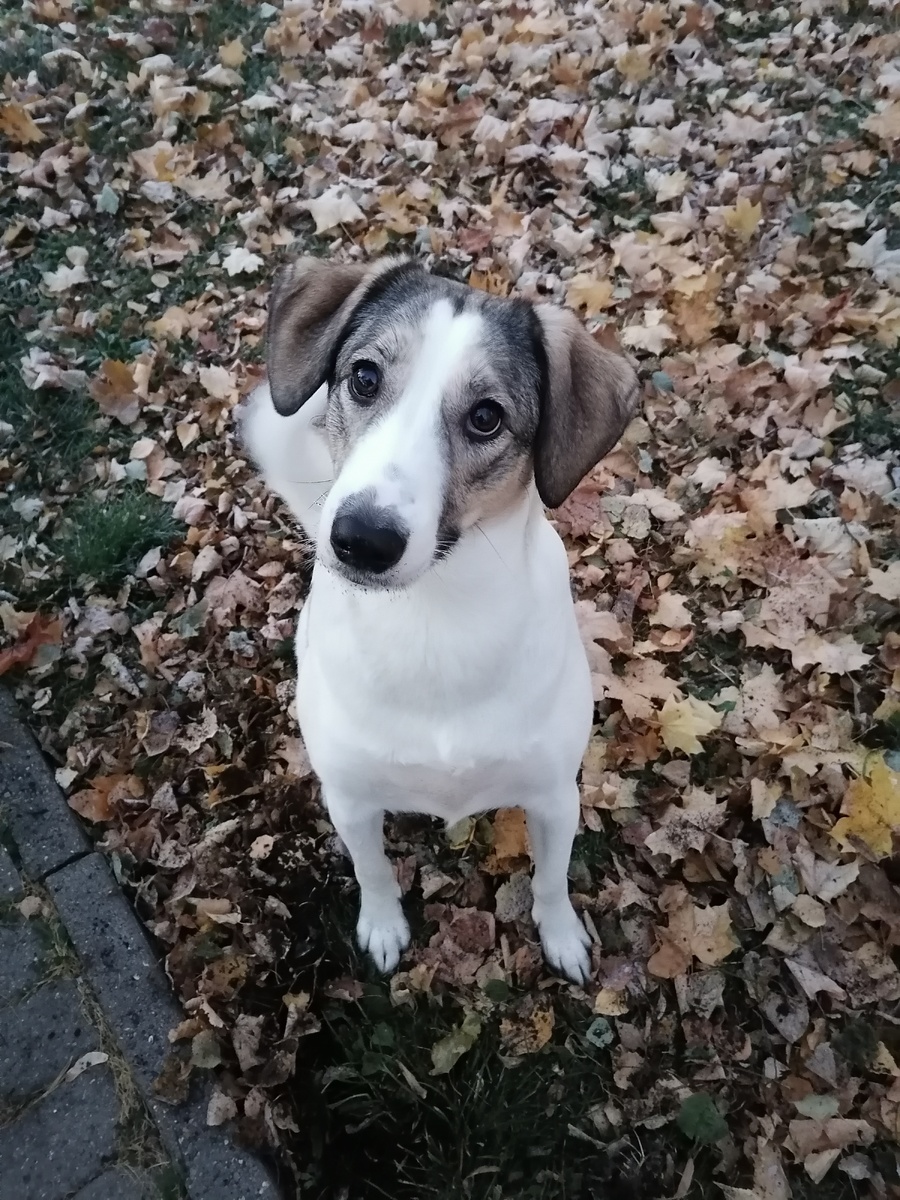 Жуля/Джулия. Фото автора