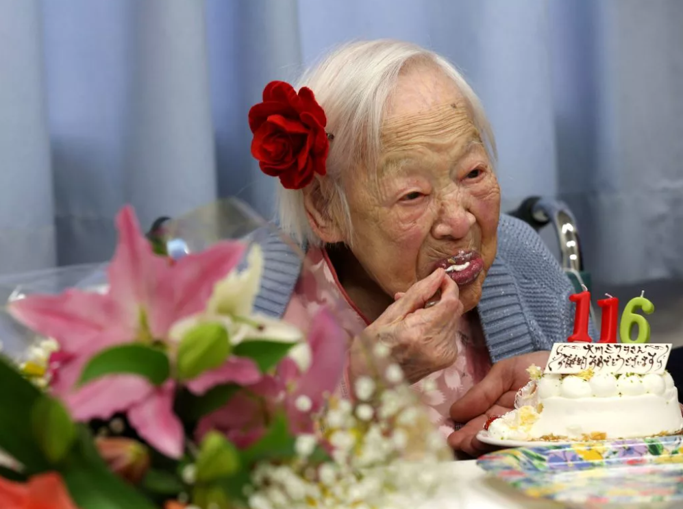 Источник изображения: Яндекс.Картинки