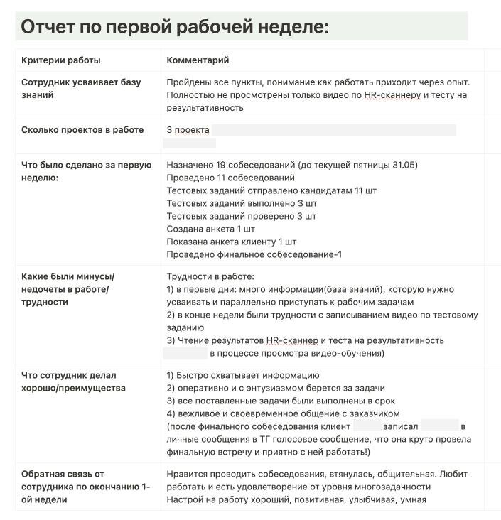 Пример отчета от ТимЛида