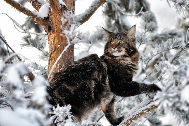 Фото из открытого внешнего источника