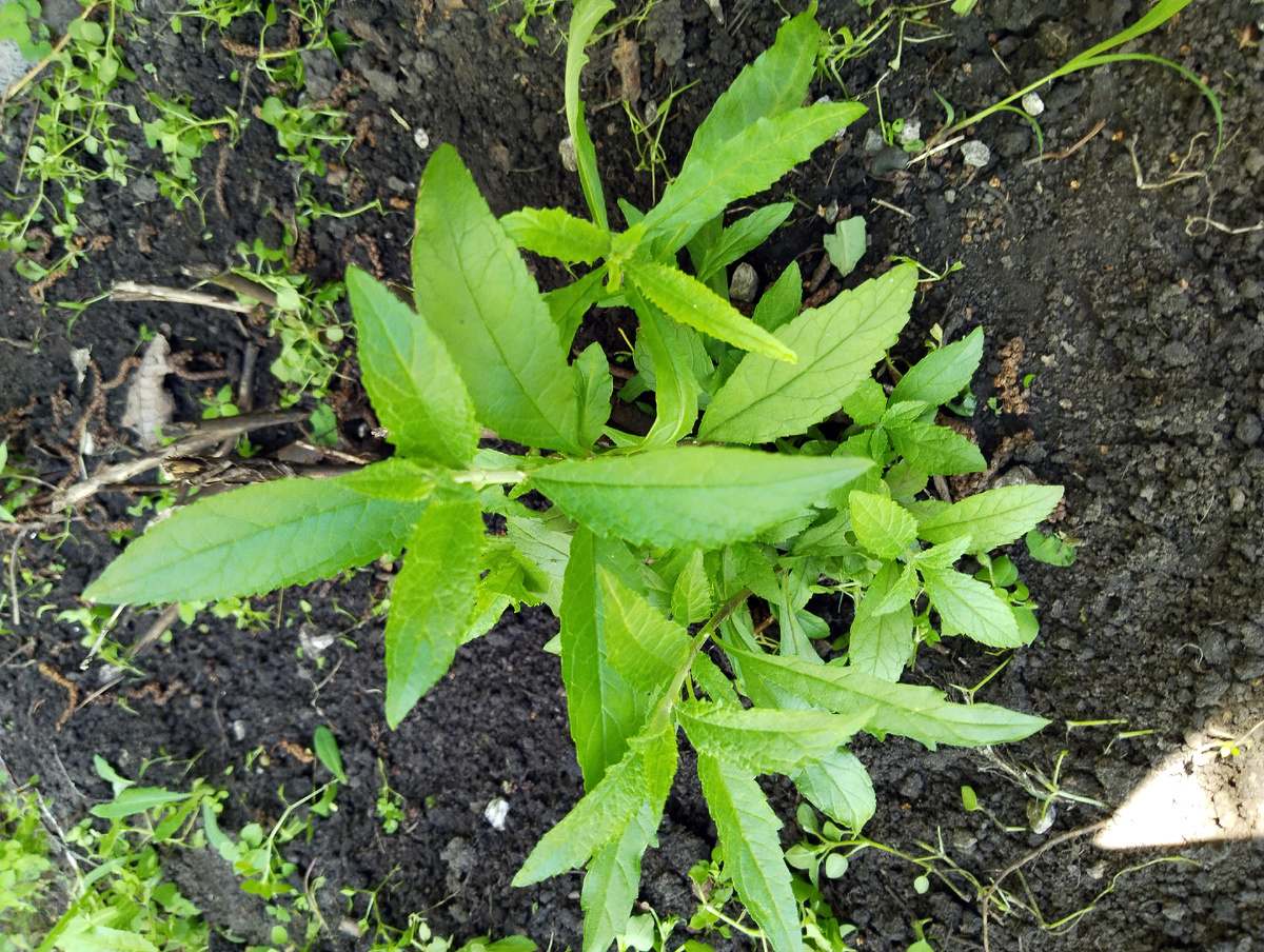 Фото от 23.06.24