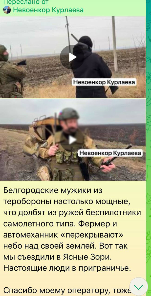    Скриншот удалённого поста/тг-канал "Невоенкор Курлаева"