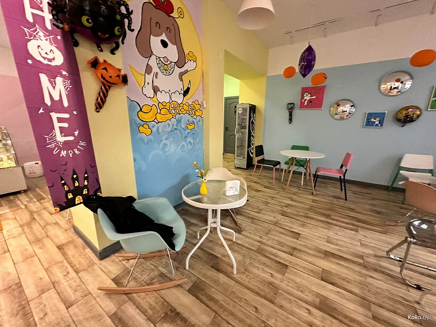 Фото: koko.by