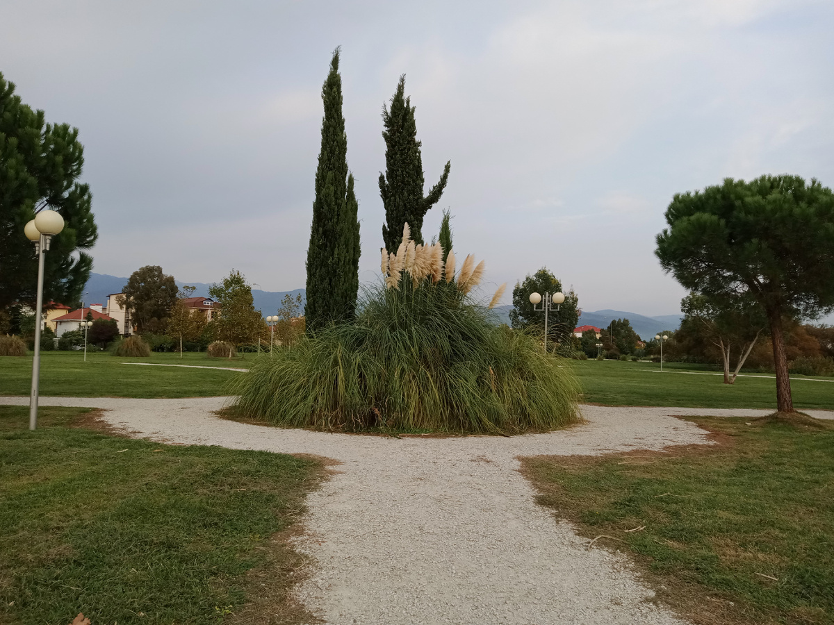 Одна из территорий Орнитологческого парка в 2022 году.