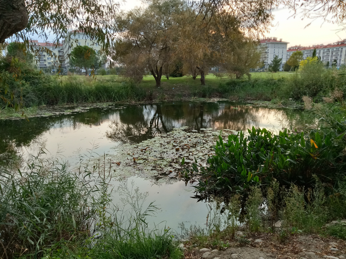 На той же территории, вдали - корпуса "Бархатных сезонов".