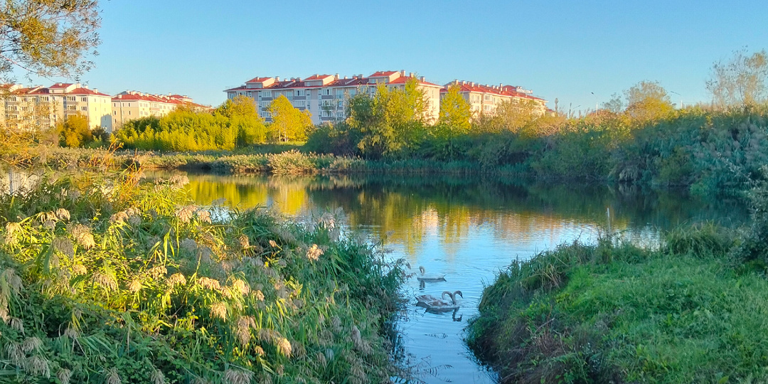 Орнитологический парк в Сириусе: надо ли туда идти?