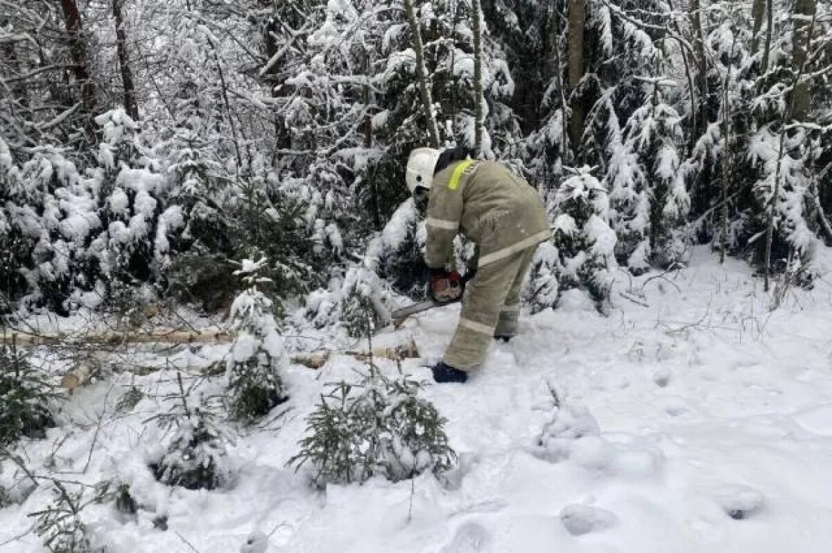    В Тверской области ведутся работы по восстановлению электроснабжения