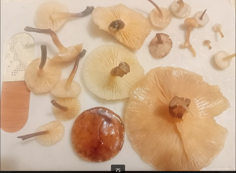 Фото Александр Хохлов. 