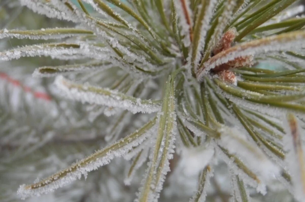    Морозно и пасмурно: какими будут предстоящие выходные в Воронежской области