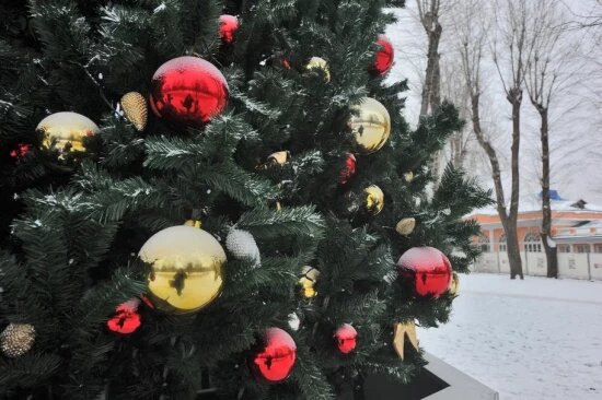    Фото: Олег Серебрянский