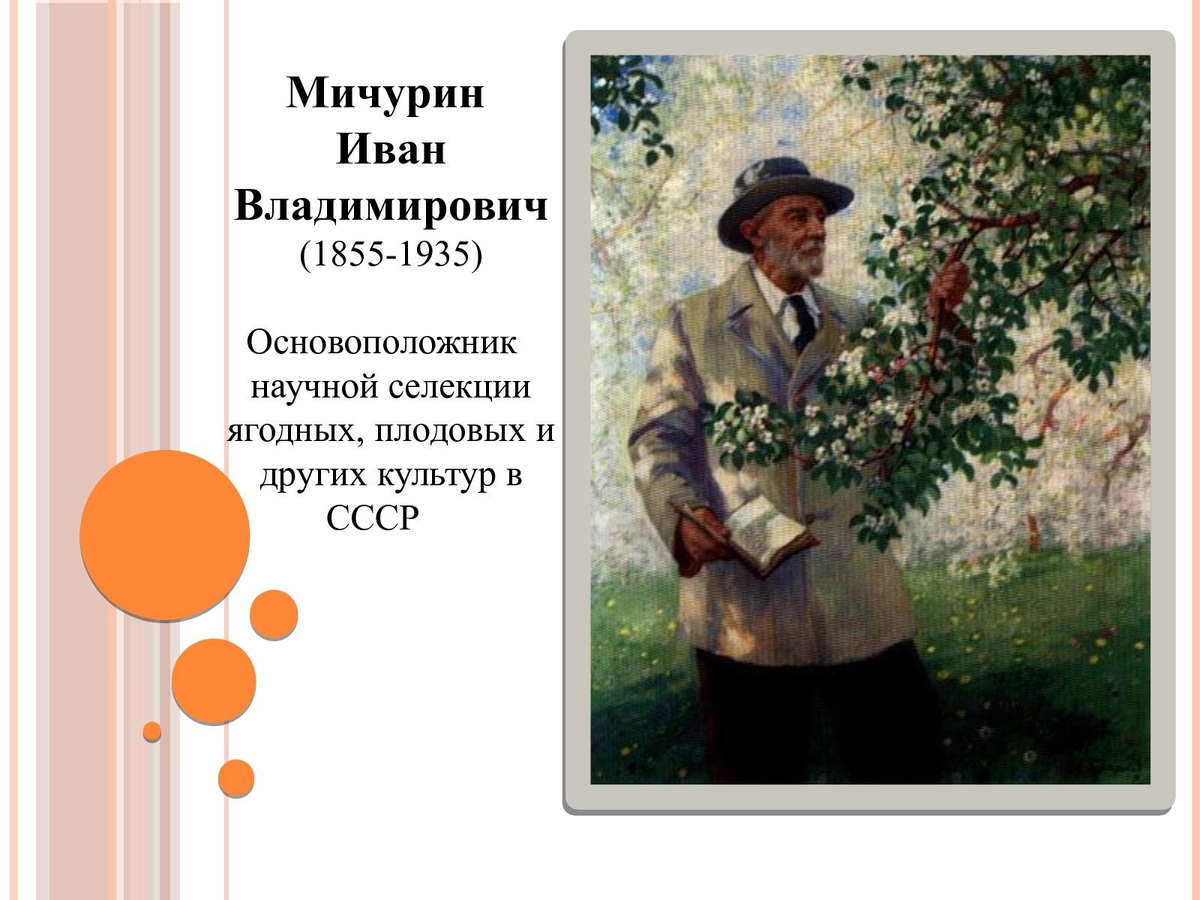 Фото из интернета.