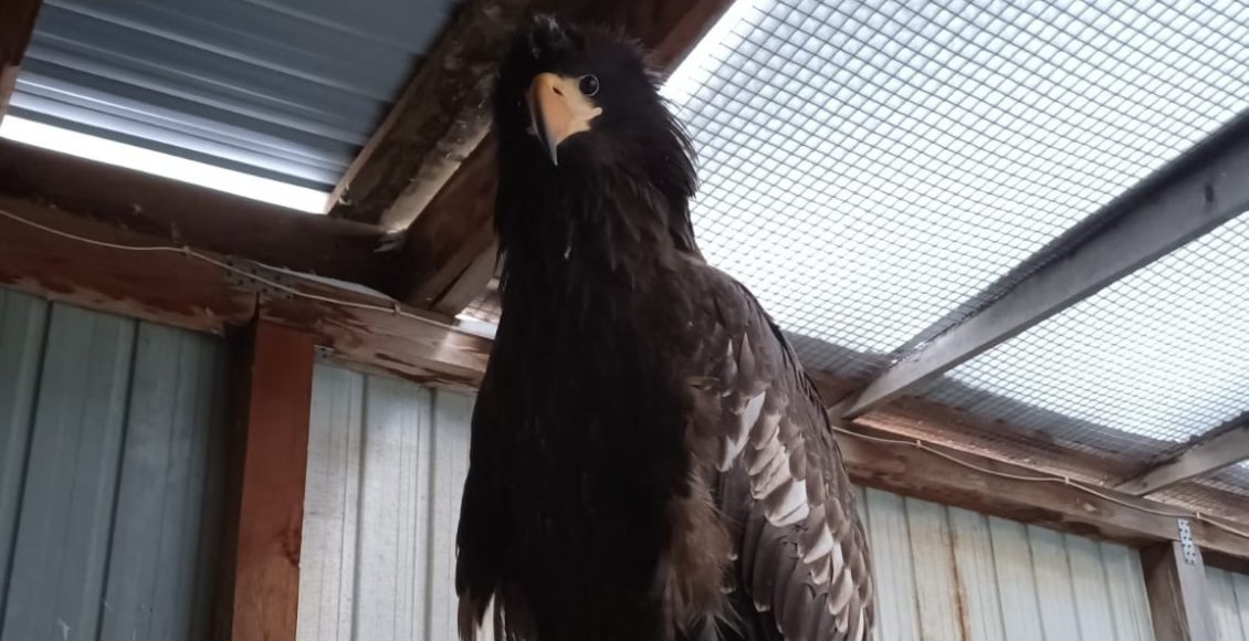    Фото: Росприроднадзор