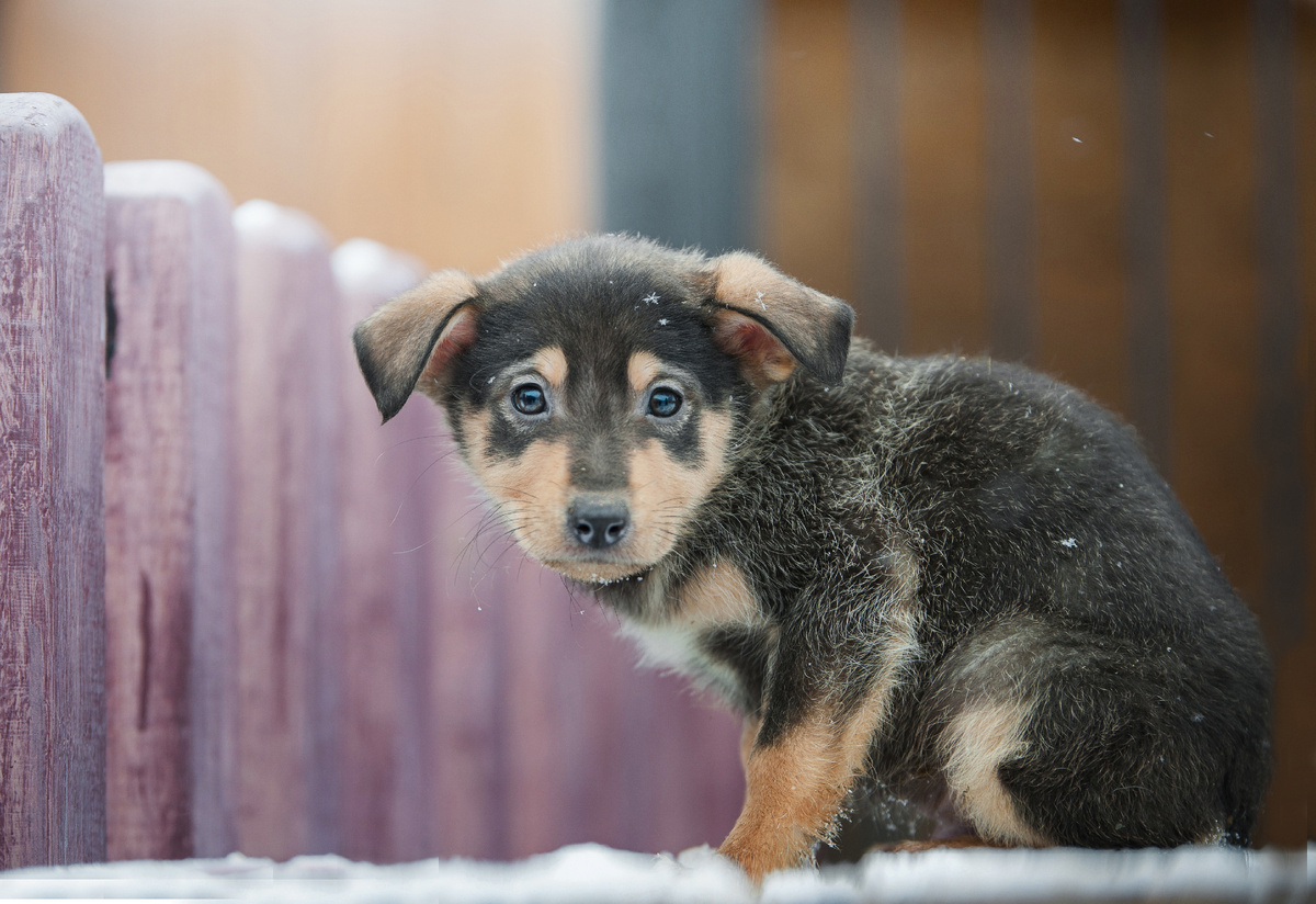 Фото: Shutterstock