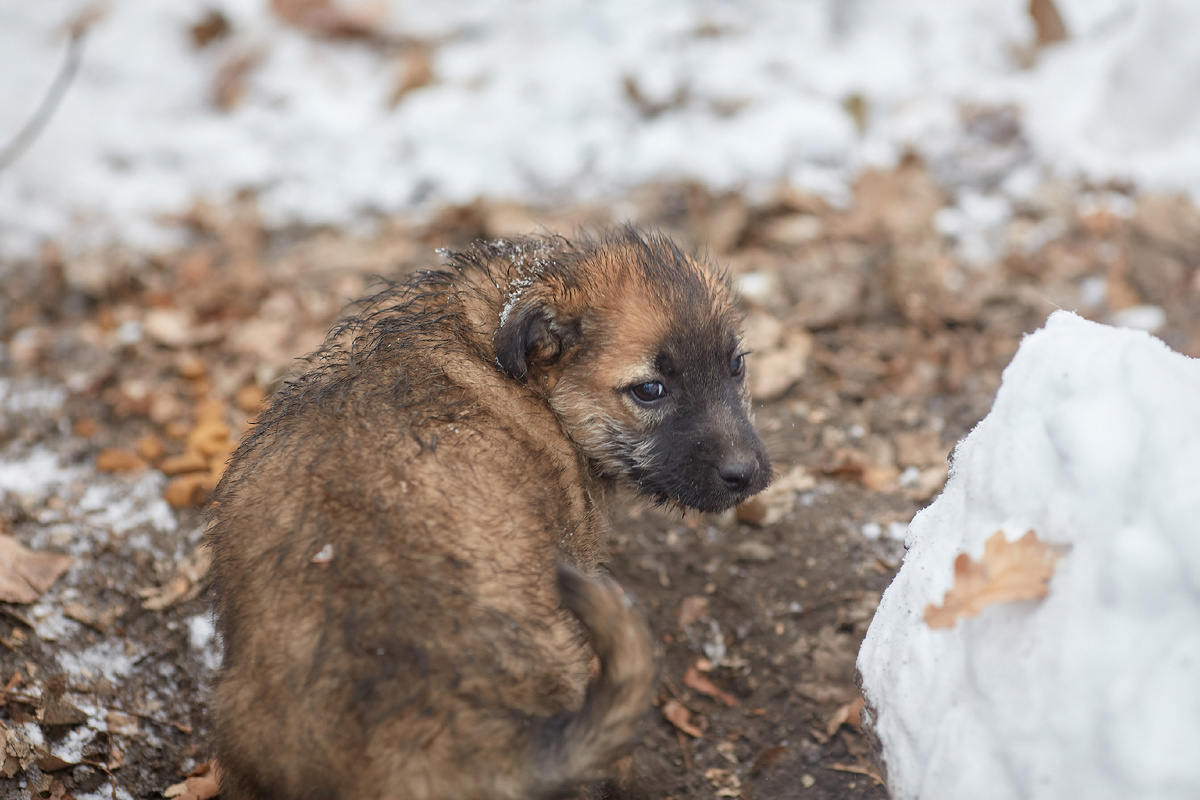 Фото: Shutterstock