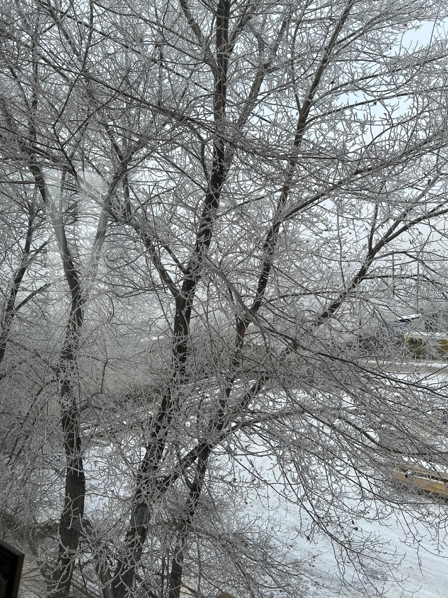 А за окном….