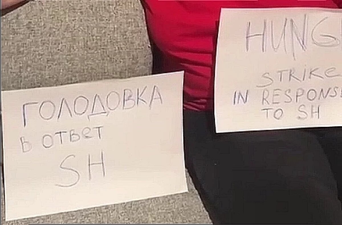    Вместе с волгоградкой голодают 170 пассажиров судна.