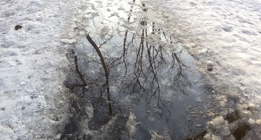 Яндекс Картинки.