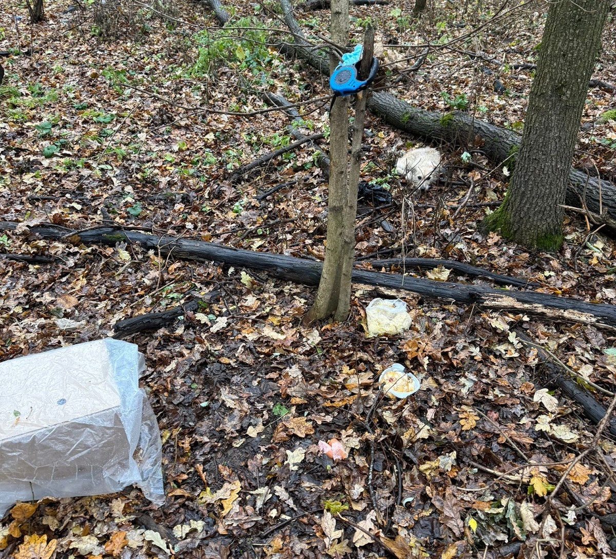 Место преступления "человека"