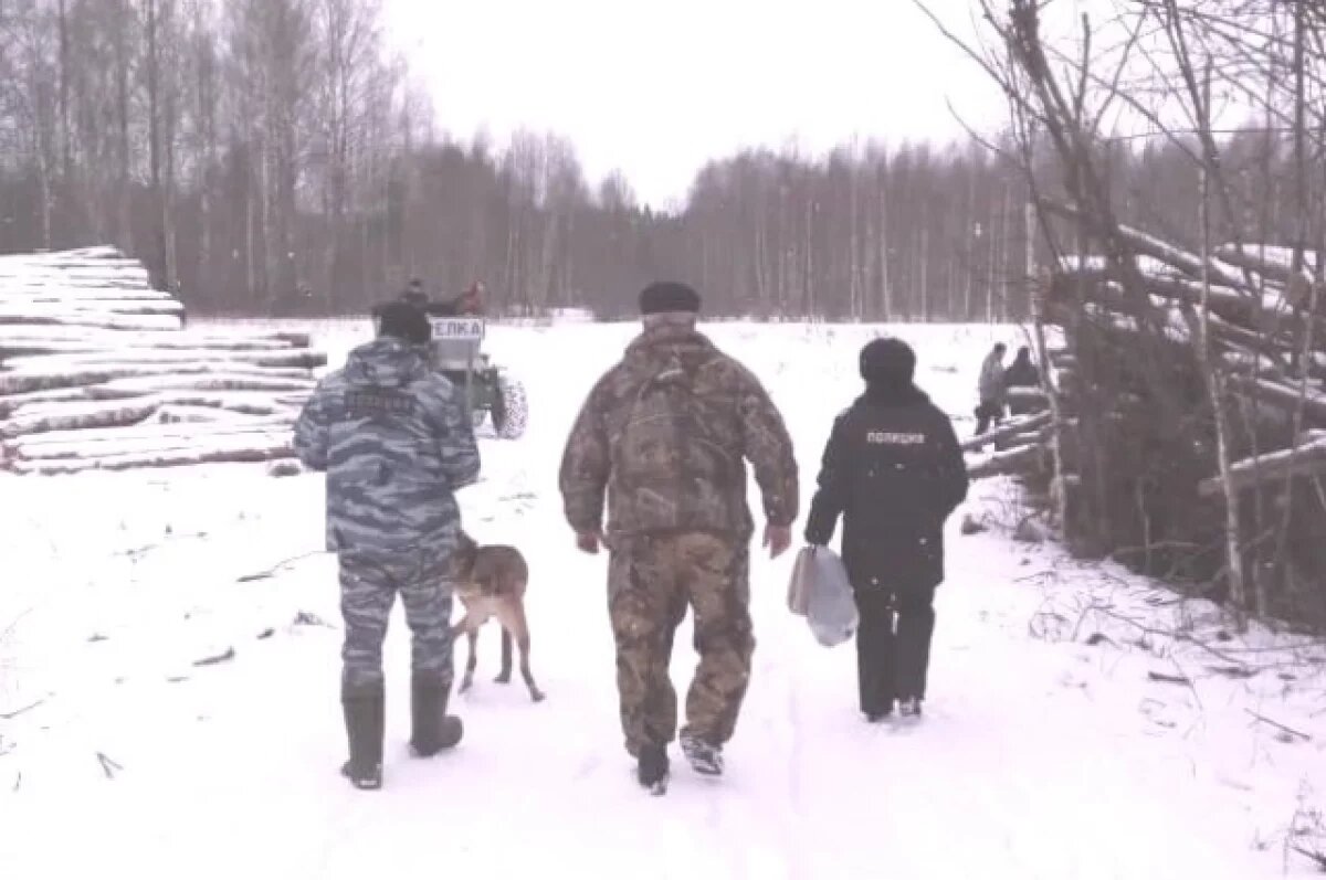    В Ярославской области зафиксировано более 30 случаев браконьерства