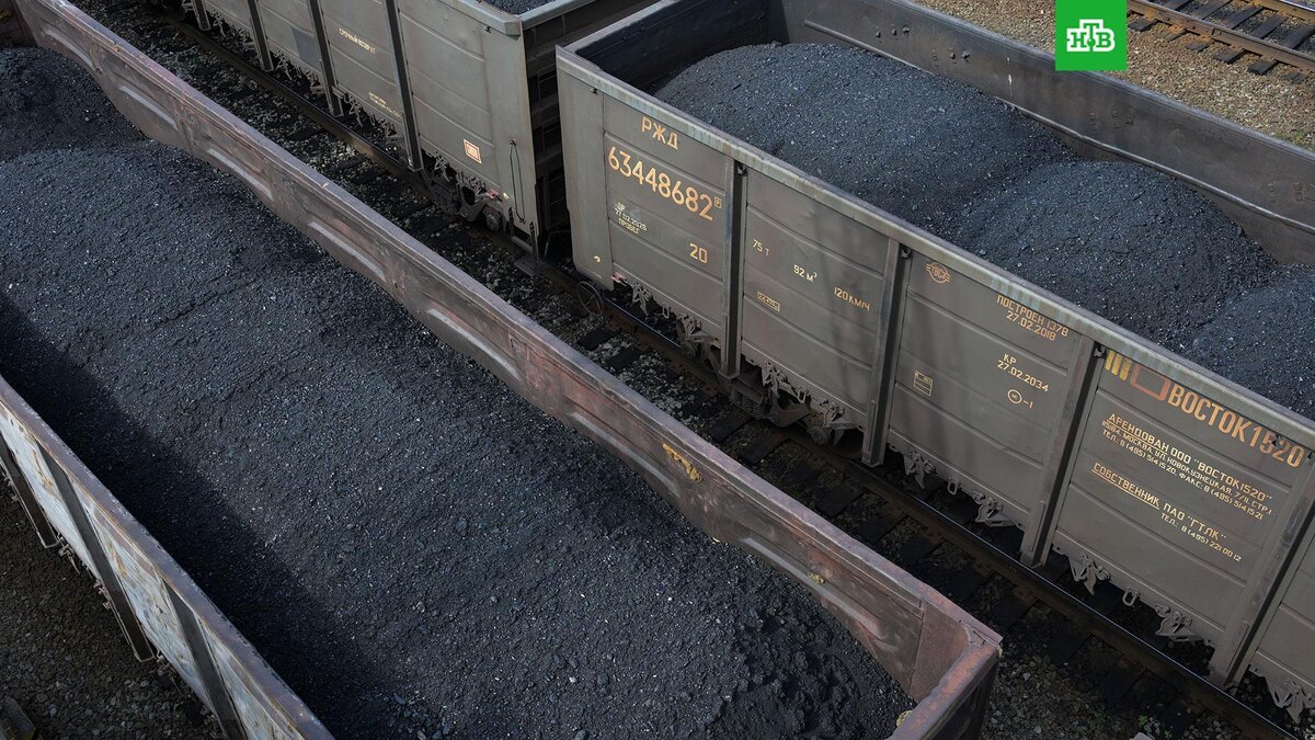    Фото: РИА Новости © 2024, Александр Кряжев