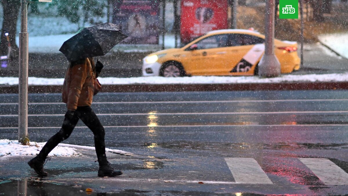    Фото: РИА Новости © 2024, Алексей Майшев