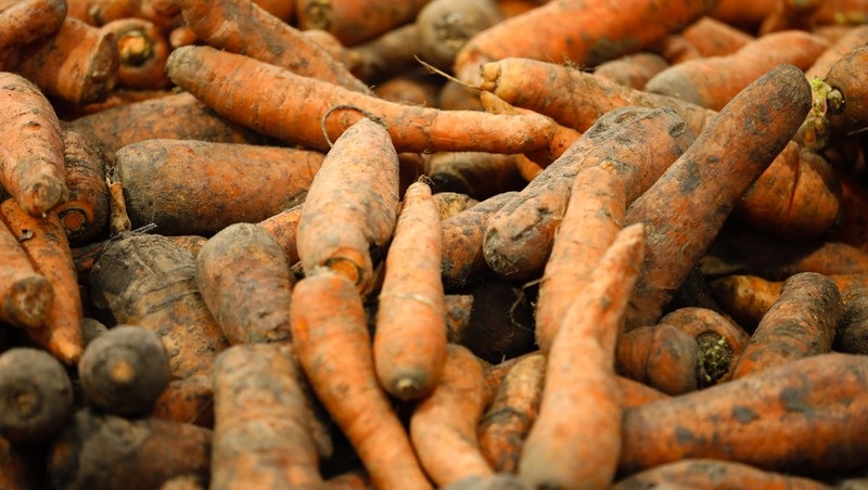    Более 160 производителей заключили почти 300 договоров агрострахования Фото: ИА «Победа26»