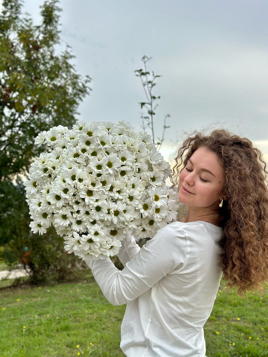 Кустовая хризантема