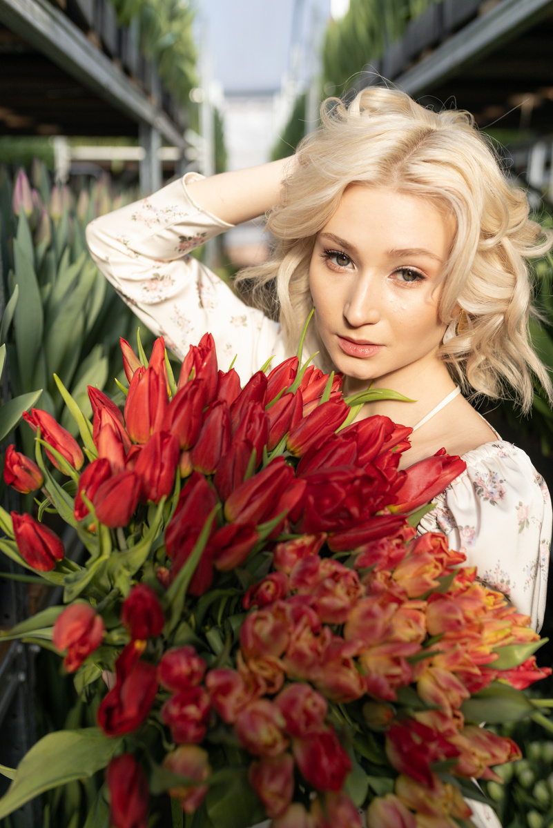 Срезка тюльпанов "Веревкин Хутор" сезон 2024