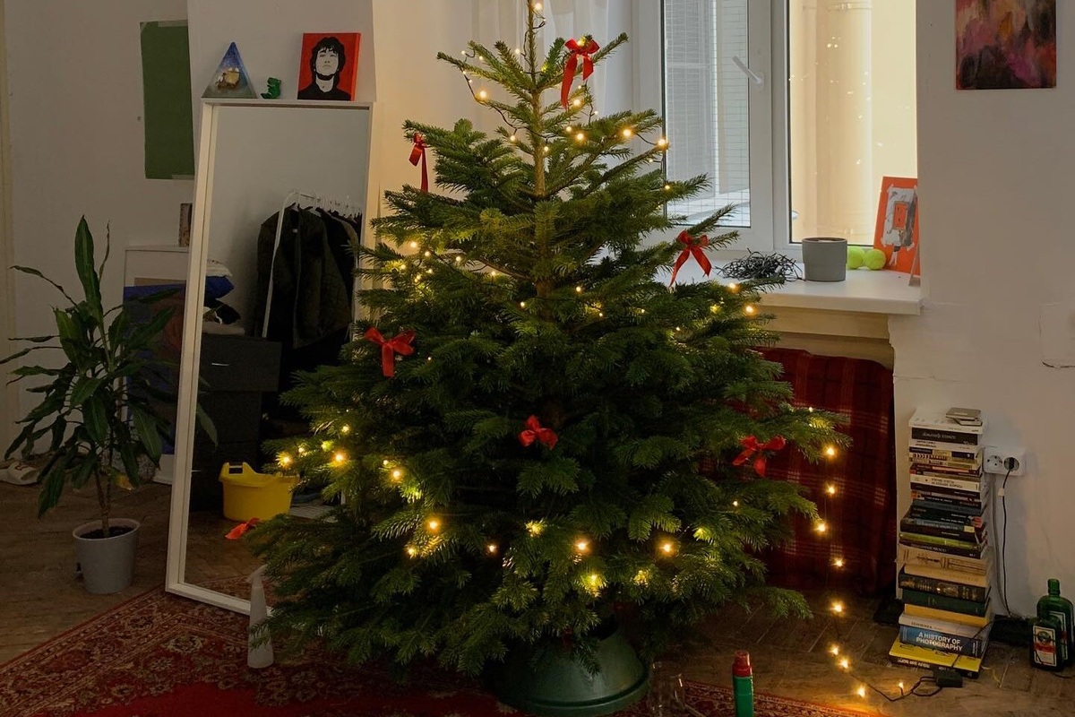     Не пожелтеет и не осыплется: как сохранить новогоднюю ёлку до конца зимы