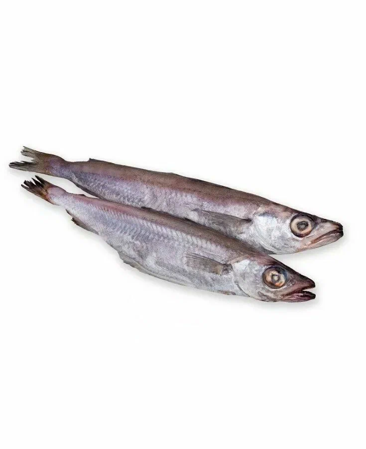 Путассу́. Фото позаимствовано в интернете. 