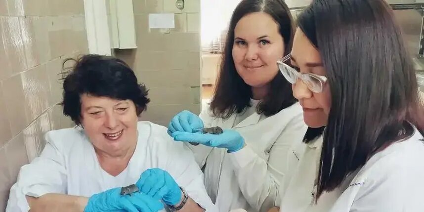    Участники научного коллектива проводят радиобиологический эксперимент на мышах.Людмила Кочева