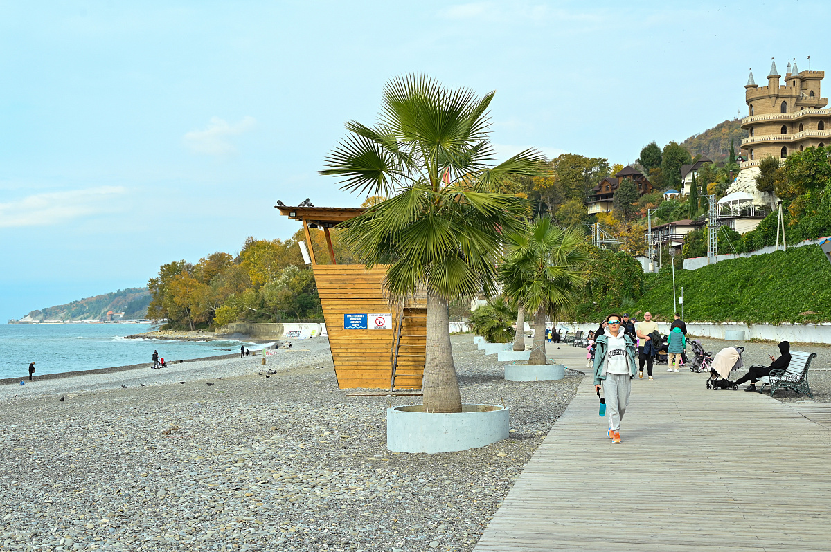    Фото: пресс-служба администрации города Сочи