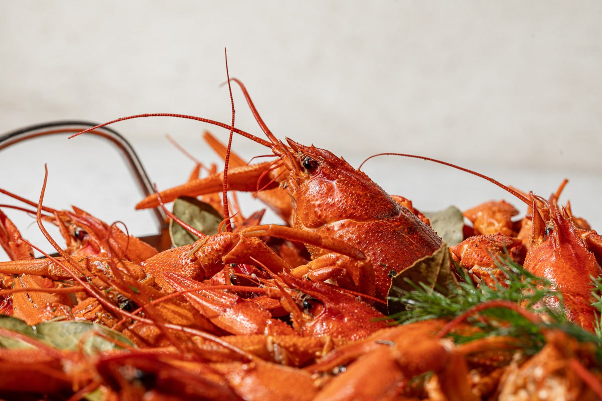 Фото: Раки в кафе «Русский лобстер»