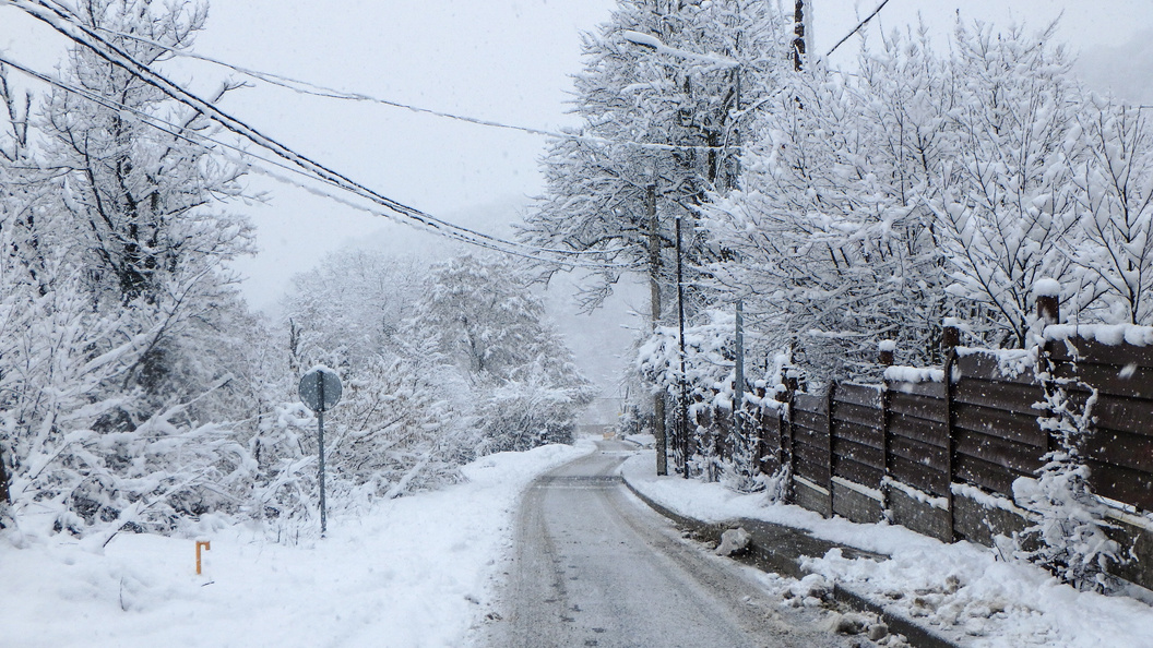    Lantyukhov Sergey/news.ru