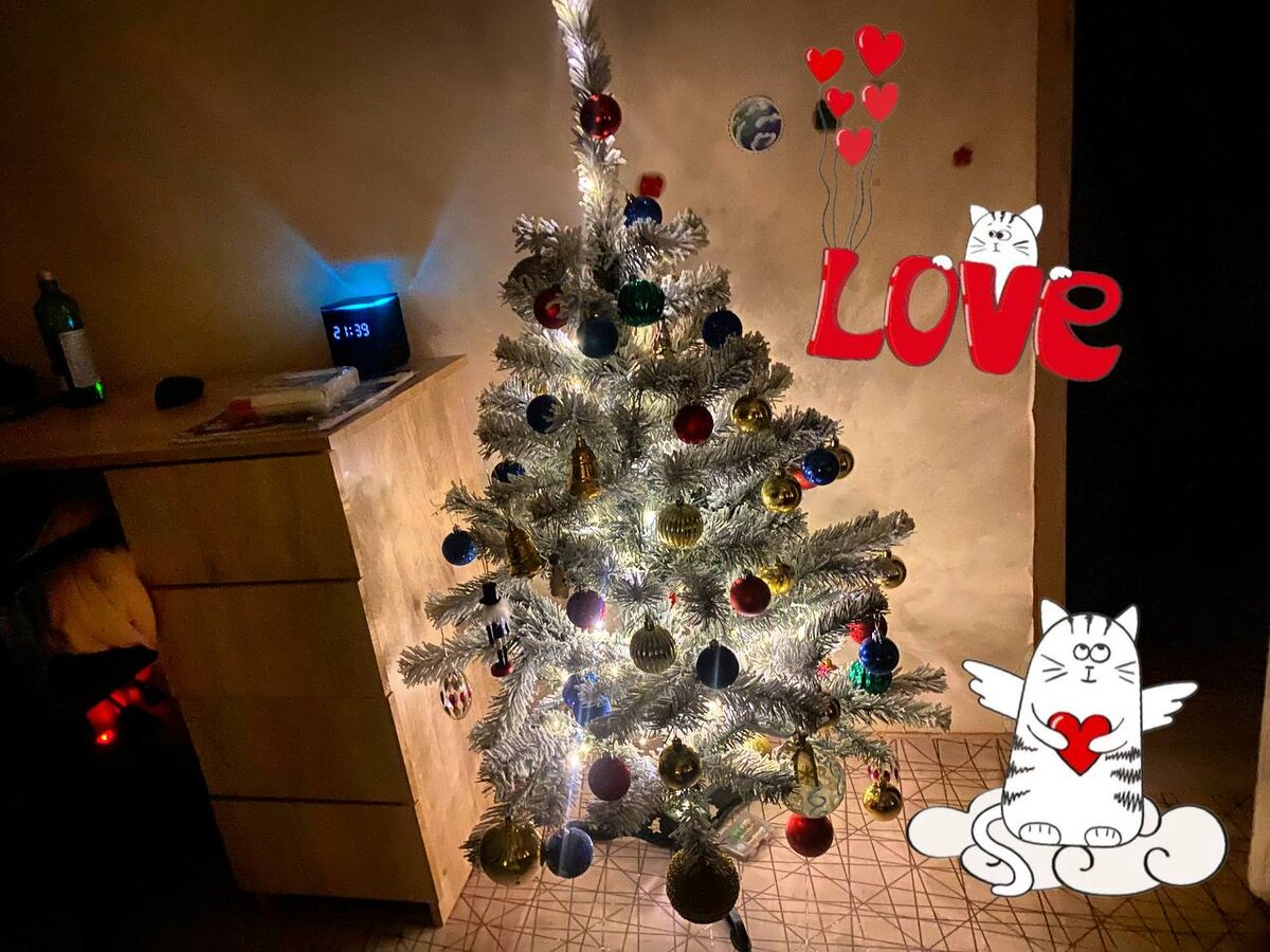 Я поставила ёлку, и дом наполнился радостью и новогодним настроением