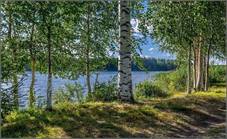 Из открытого доступа