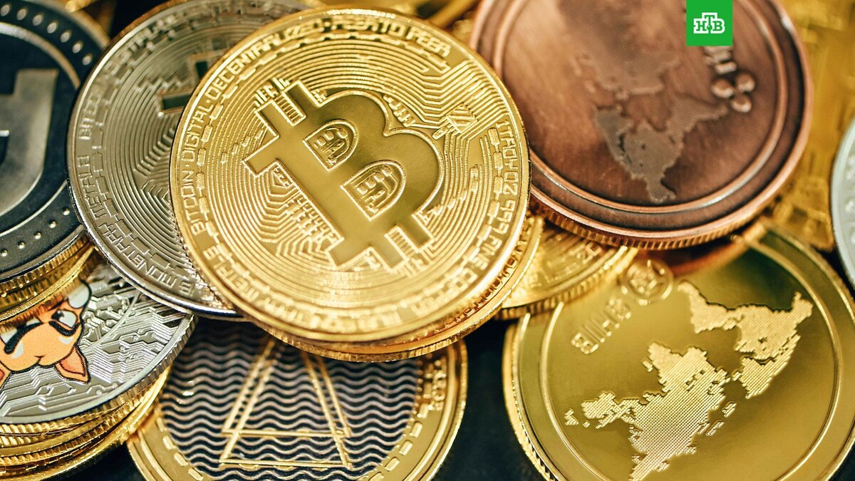    Фото: Traxer / unsplash.com